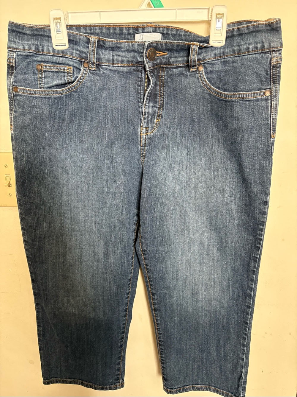 Pure Alfred sung Classic Mid-Rise Blue Jeans capris for Women size 16